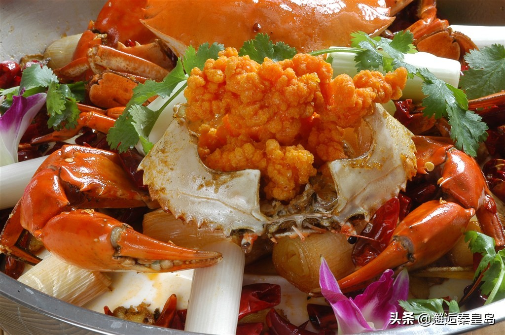 小溪里面的螃蟹如何判断公母,十几厘米的小螃蟹怎么分辨公母