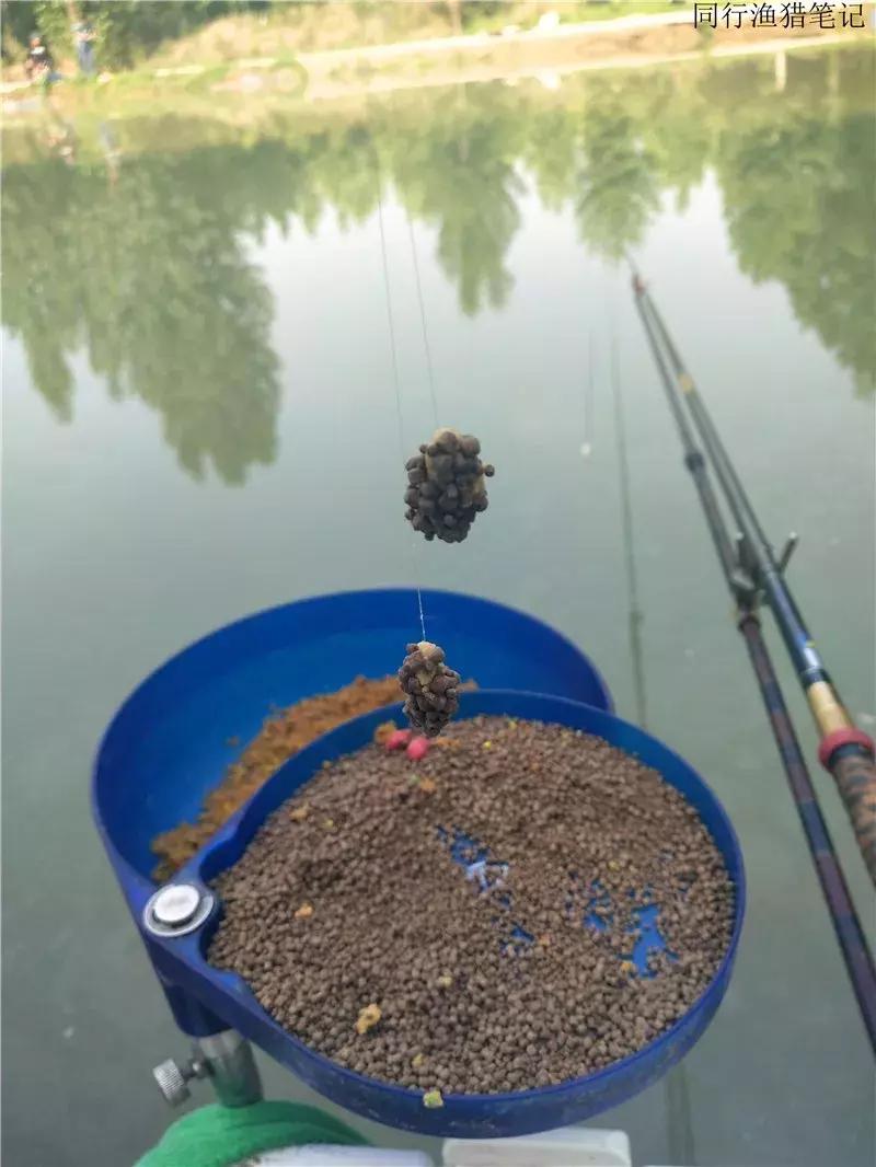 从钓鱼大师到钓鱼圣人,钓鱼大师为啥都是小钩细线钓大鱼