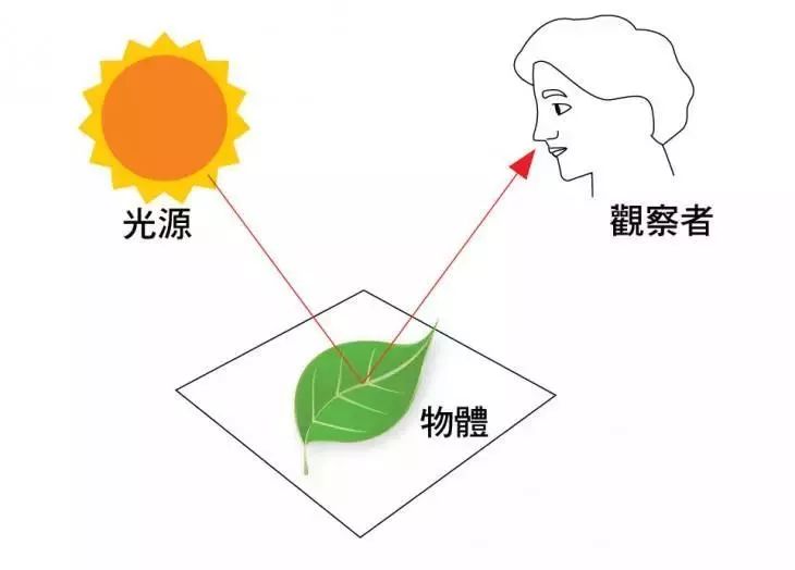 如何调出电影感画面以及人物色彩,电影感色调的调色方法
