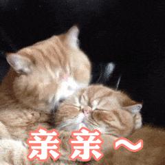 接吻一次可以吃掉多少细菌,接吻会有8000万的细菌