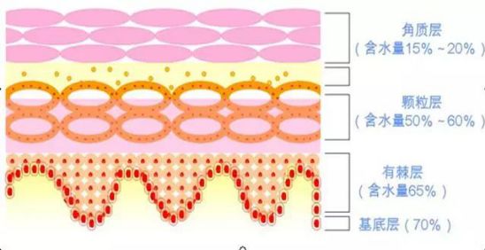 角质层薄适合的水,角质层过薄怎么办有什么方法