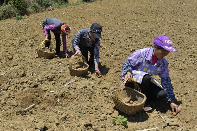 增收项目助力贫困户脱贫,脱贫攻坚项目工作进展