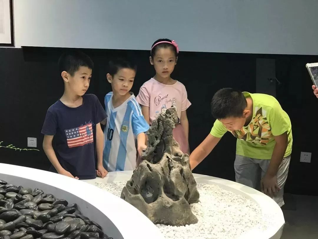 深圳红立方奇石展馆——城市中的一片自然