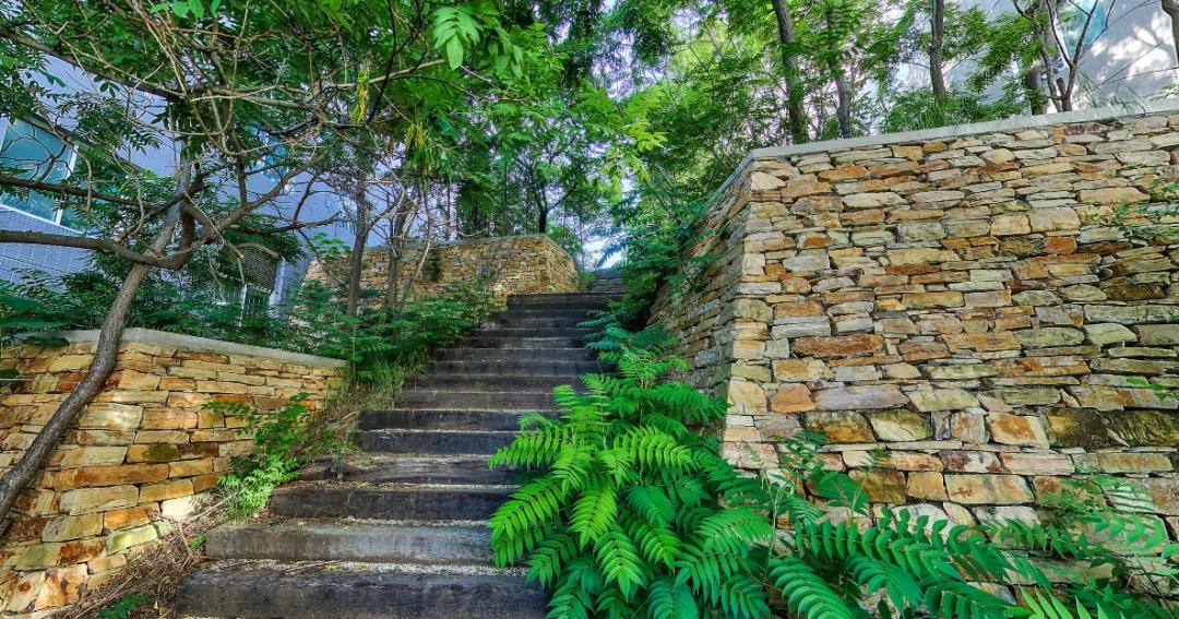 辽宁省民办大学（二）大连东软信息学院