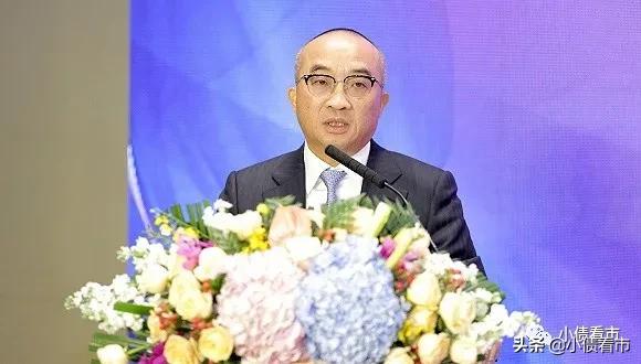 金辉地产总负债,金辉房企简介