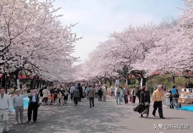 日本东京jr山手线,东京站新干线和山手线