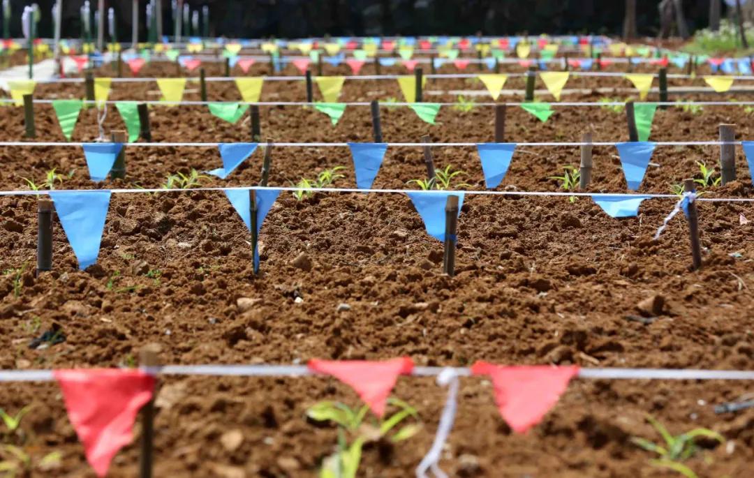 一起去瓶窑“拿块地”！古城旁，南山下，50个平方200元......