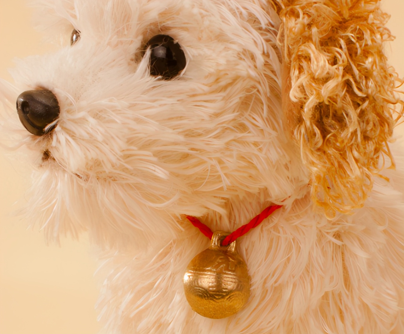 避免狗咬自救小妙招,如何防止被狗狗咬