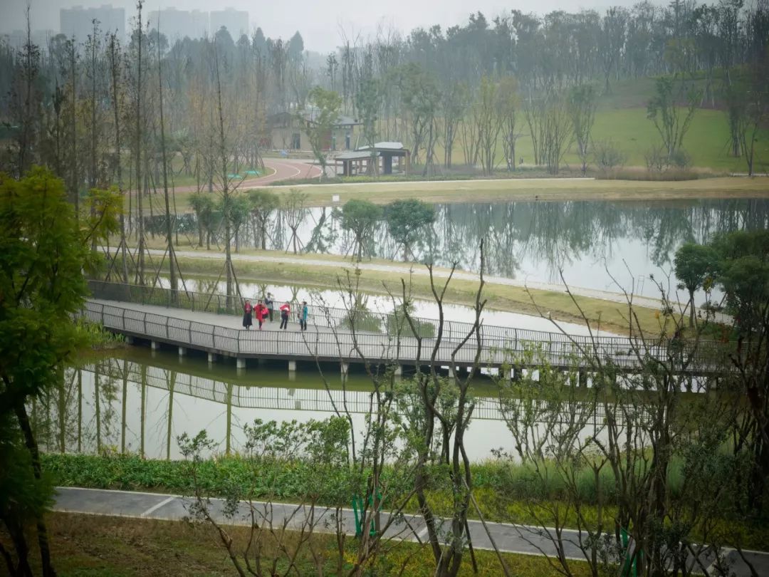 成都新增2个公园,成都到处都是公园城市