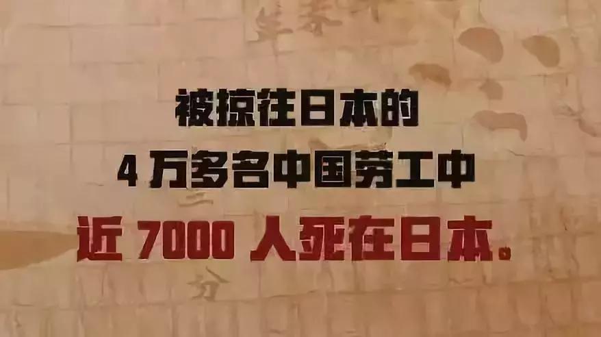 918饵料全名,918是什么品牌饵料