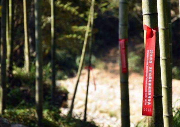 越野跑距离进阶指南 (新人入门越野跑都需要注意什么)