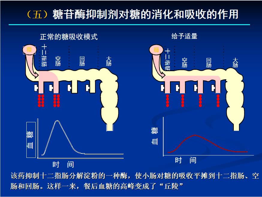 糖尿病长期吃降糖药的副作用,二型糖尿病降糖药哪种副作用小