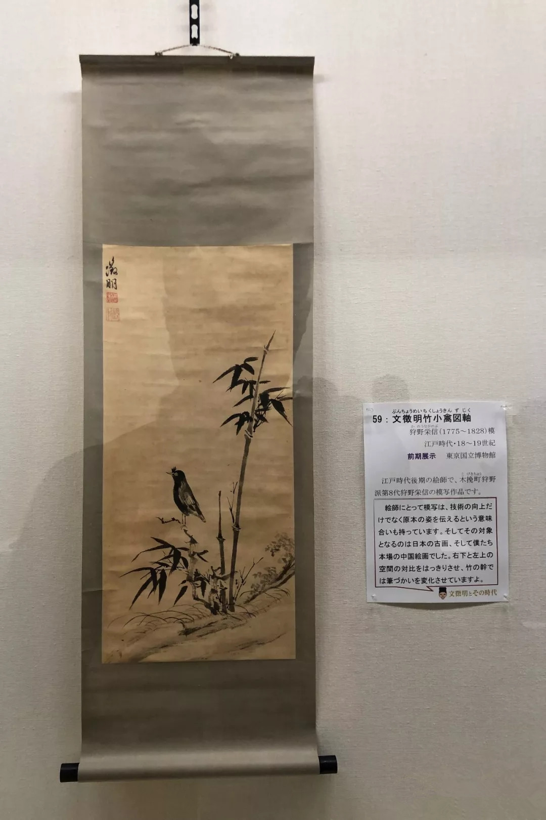 文化交流之旅,文化交流学习活动