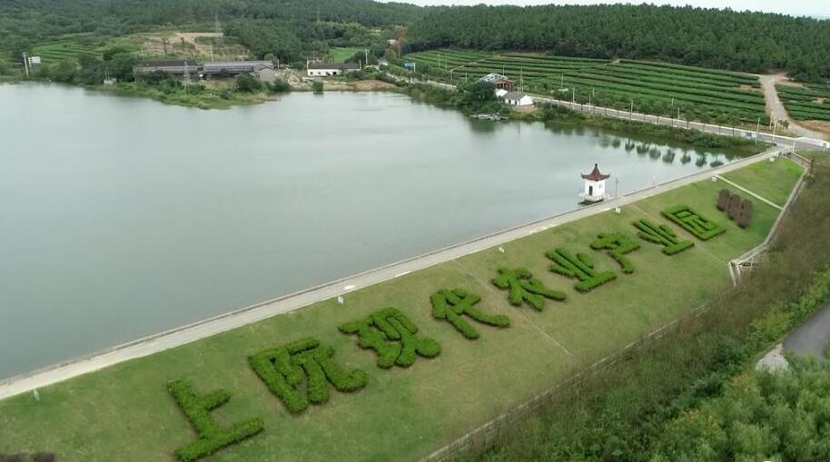 常州金坛最美乡村,金坛有哪些美丽乡村