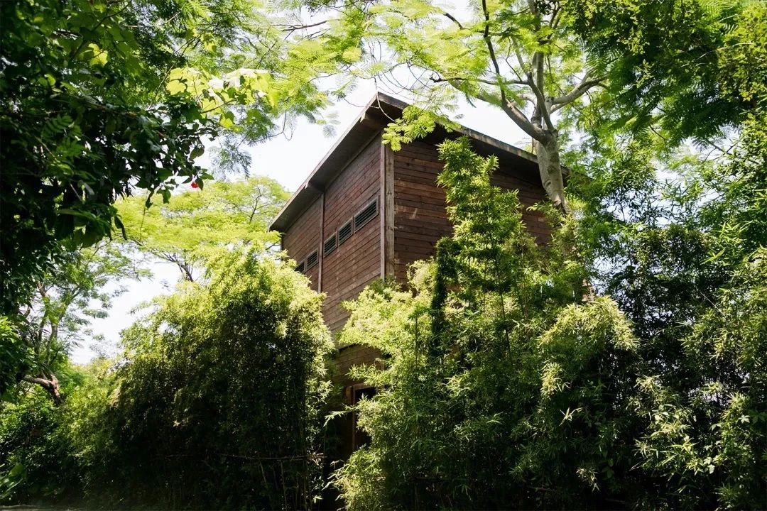 深圳周末浪漫好去处,深圳浪漫约会地点十个景点