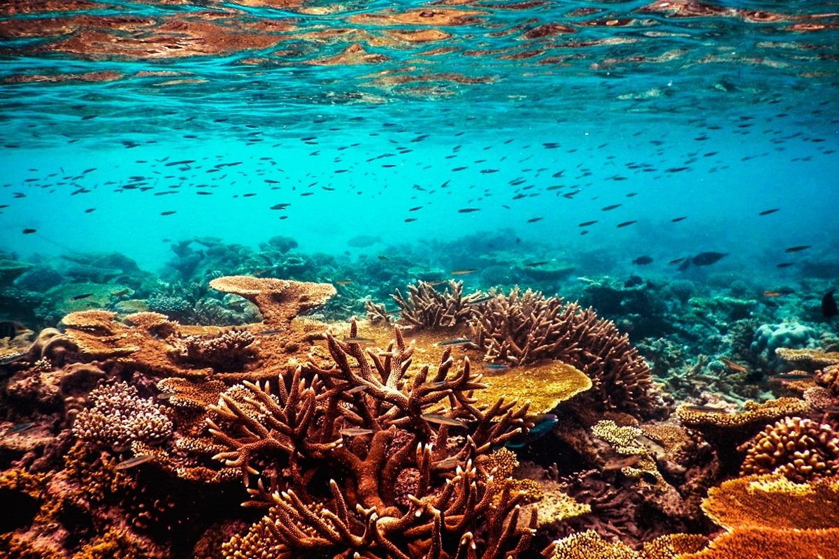 马尔代夫小国,马尔代夫首都有多拥挤