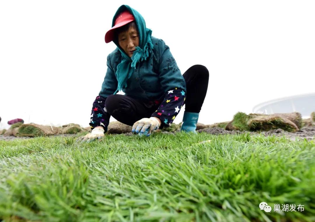 新型足球场草坪,人工草坪足球场建设全过程