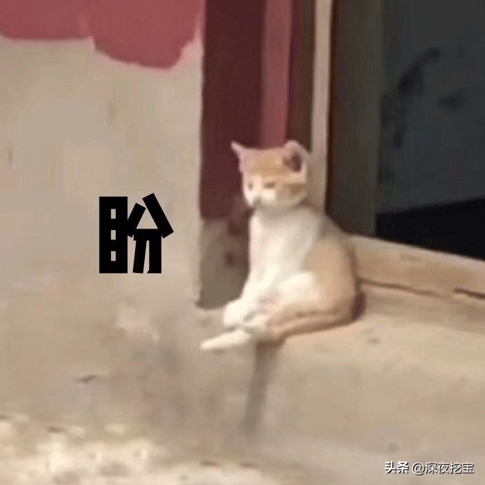 kiko好用的东西,kiko便宜好用吗