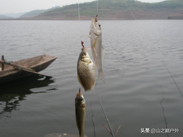 上鱼最好的串钩绑法,怎样绑串钩最上鱼