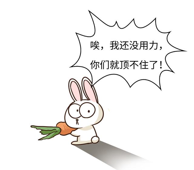 四川人此生最大的疑惑，兔子为啥能把澳大利亚人逼疯（菲李漫画）