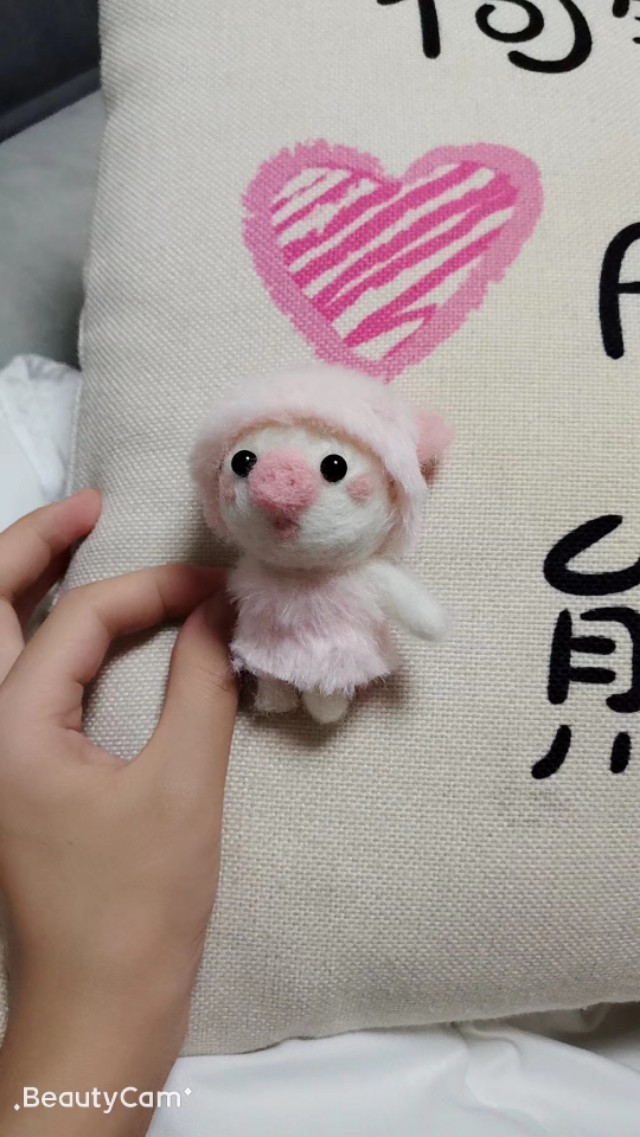 我的孕期记录,用什么记录孕期