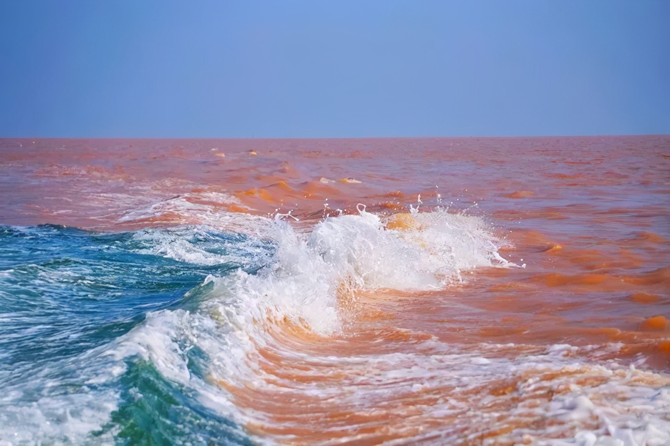 山东这两座小城，集齐了所有令人向往的美景，超级适合自驾！