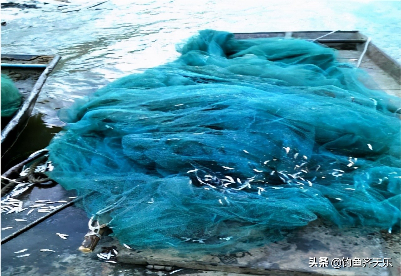 8毫米网眼一晚捞鱼1200斤！松花江要重演长江“无鱼”的悲剧？