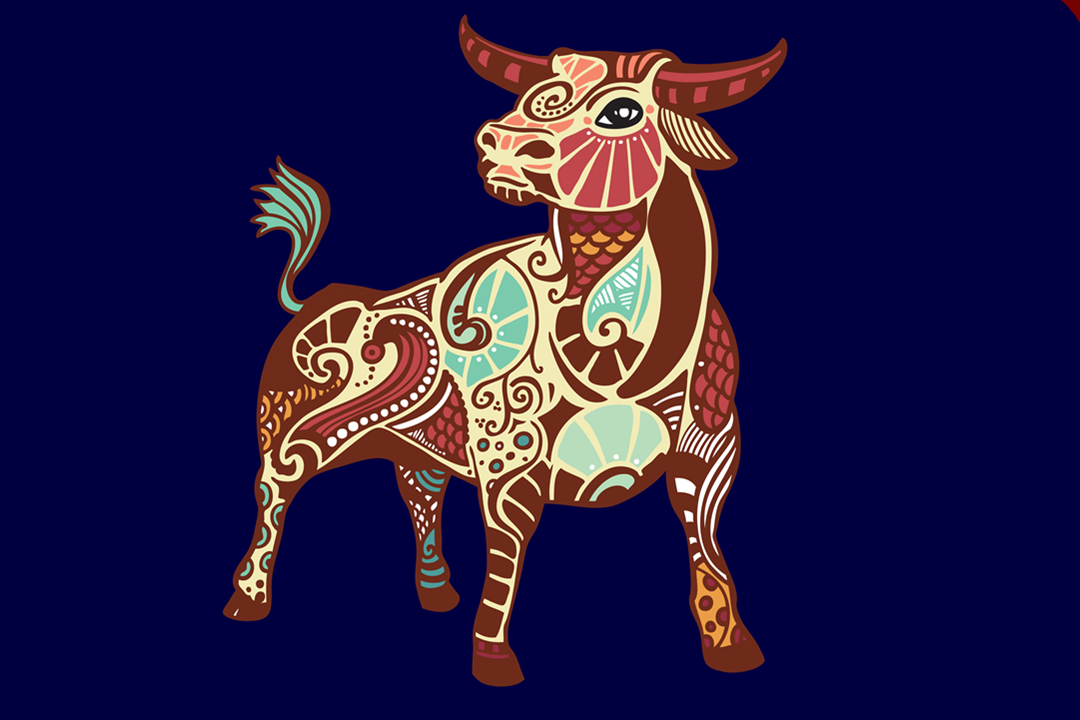 金牛座的处世智慧,性格倔强固执钻牛角尖怎么改