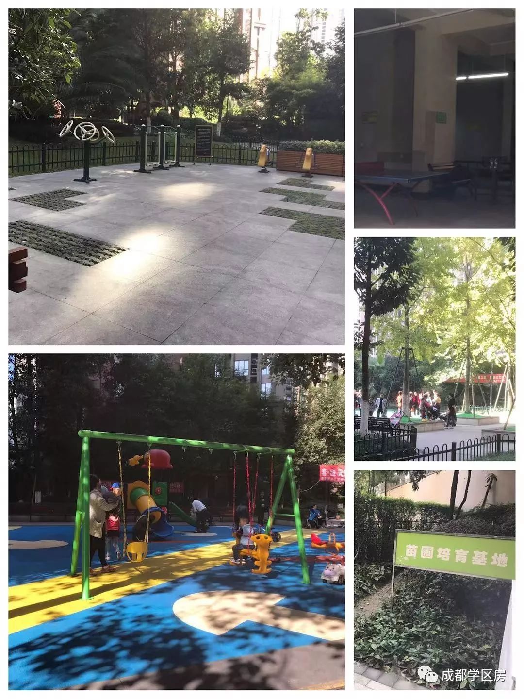 天府新区好的学区房有哪些,天府新区小学排名及周边楼盘