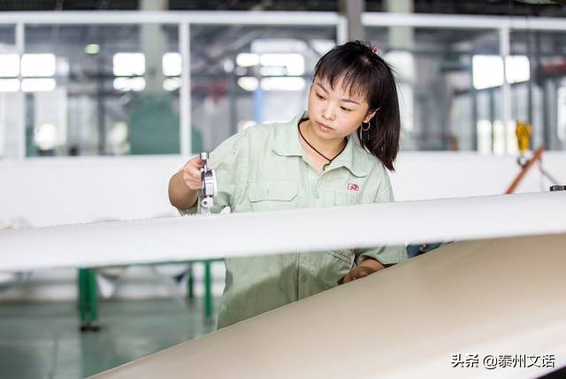 江苏泰州白米镇景点排行,姜堰市各乡镇排名