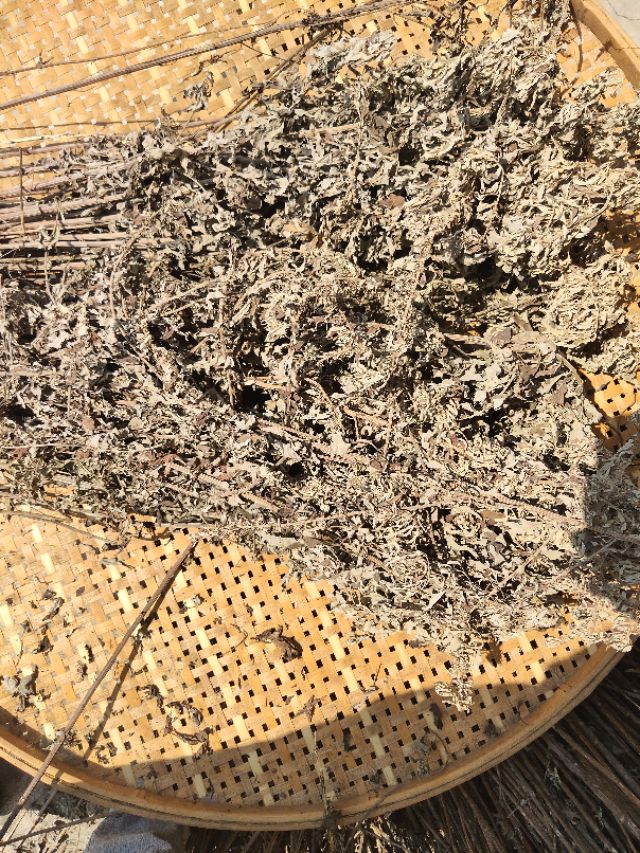 艾条怎么做出来的,艾条自己怎么做