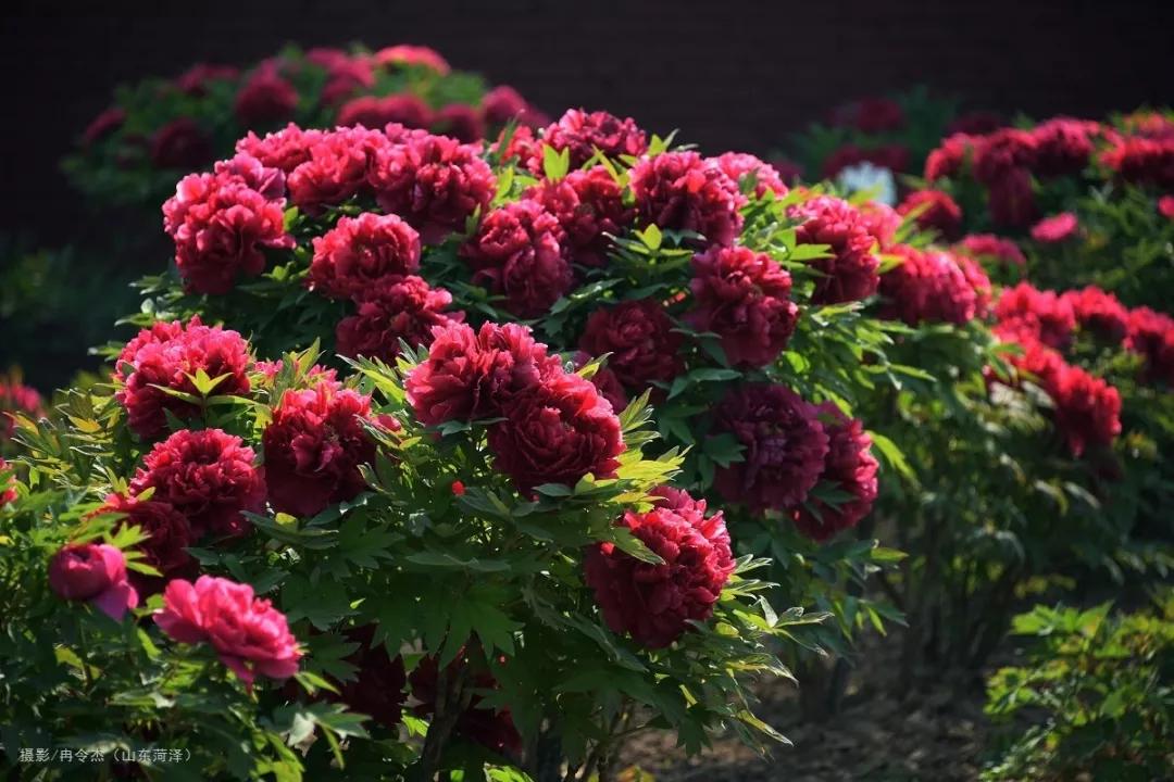 国内最适合一个人旅行的20个地方,一个人自驾旅行累了想回家