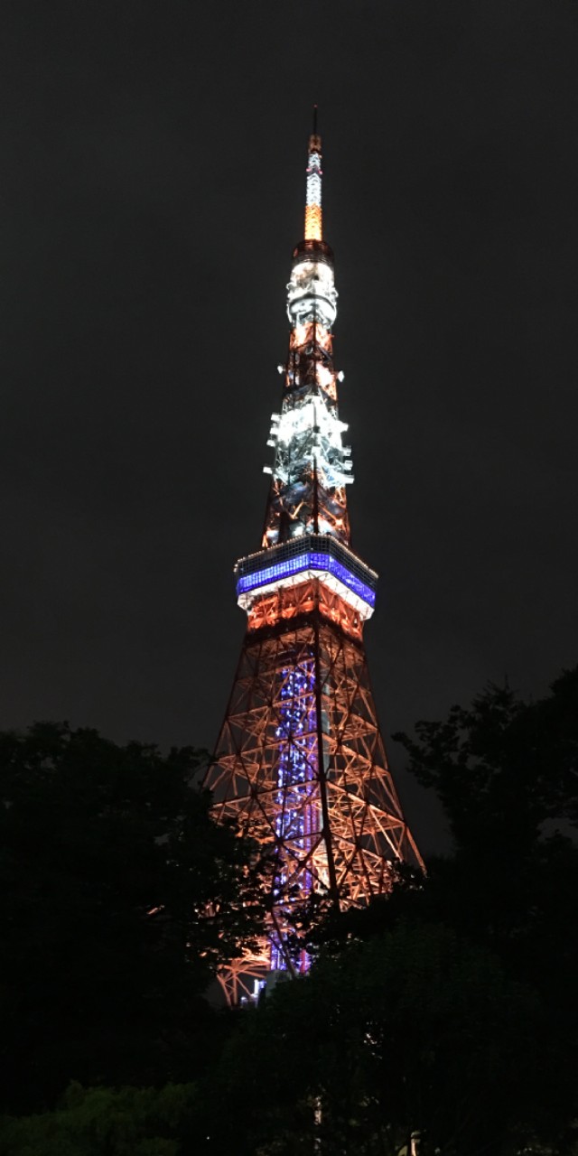 为什么不建议跟团游,去日本旅行可以不跟团吗