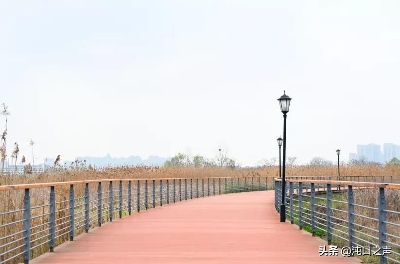 沌口南太子湖绿道,沌口绿道在哪里