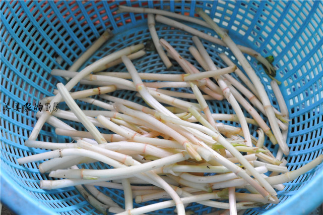 鸡蛋跟它一起炒，一半人不敢碰，另一半人爱到哭