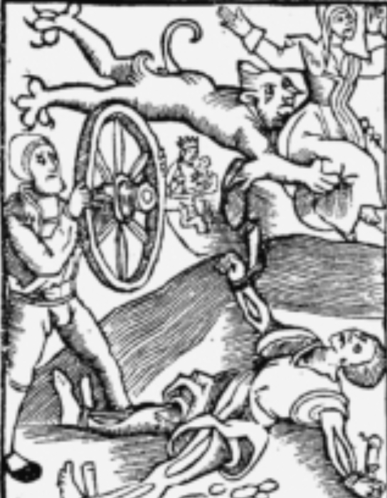 长见识啦深度解析,长见识了完整版视频