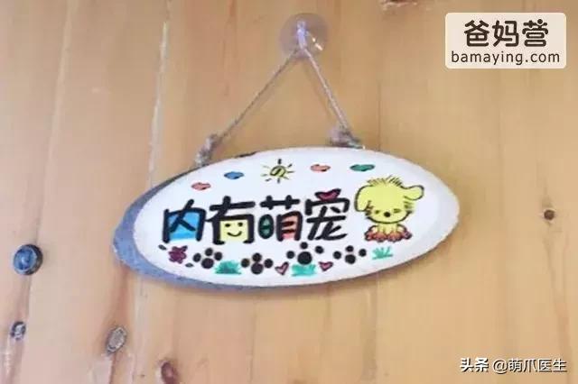 上海可带宠物入住的酒店推荐,怎么选宠物友好酒店房间