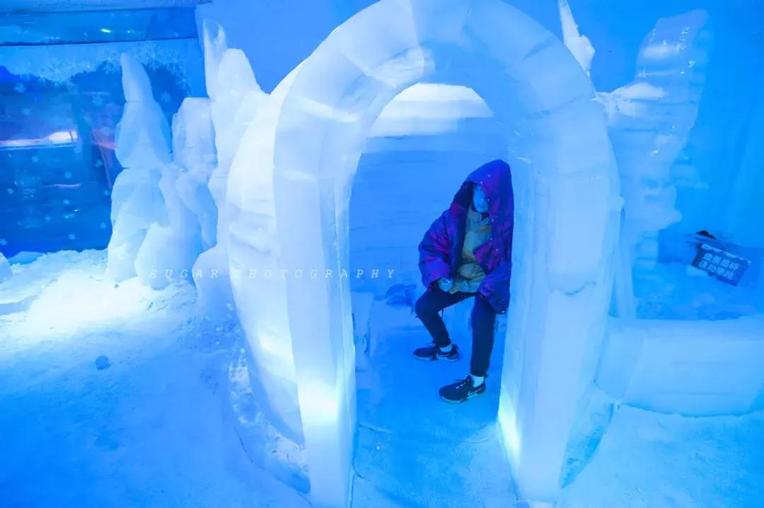 「亲子游」与万千海洋动物一起，夜宿探索极地海洋之美