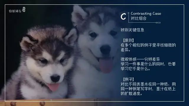 26种黄金学习法则.必备自我提升宝典II科学学习