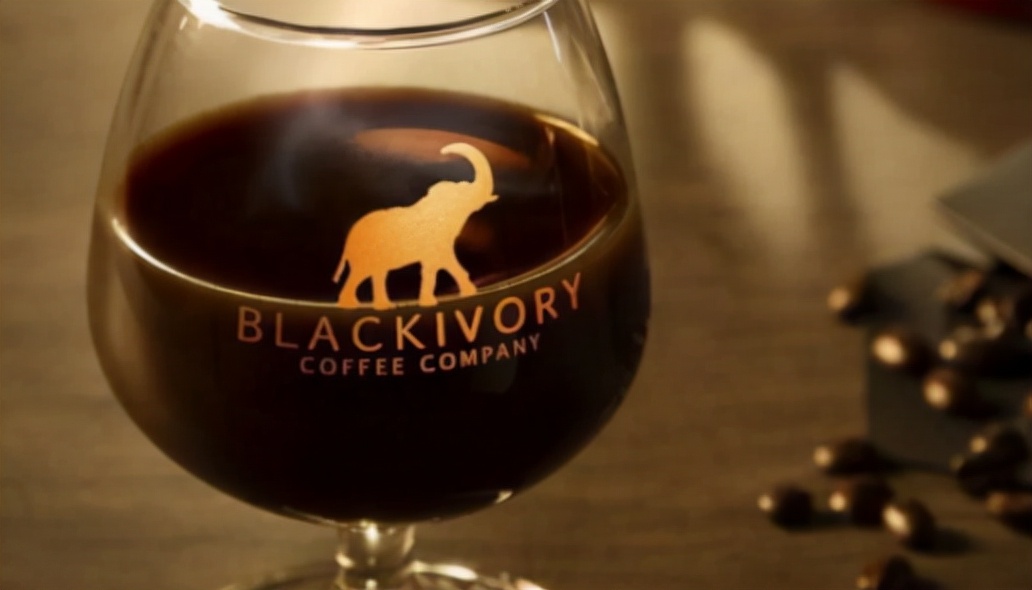 孟非:猫的屎放在咖啡里还能喝。“猫屎咖啡”真是猫咪拉的臭臭?