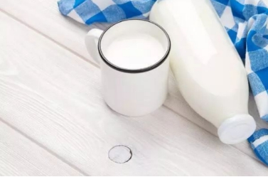 新风口大会推荐企业：志羊乳业告诉您羊奶不为人熟知的12种功效