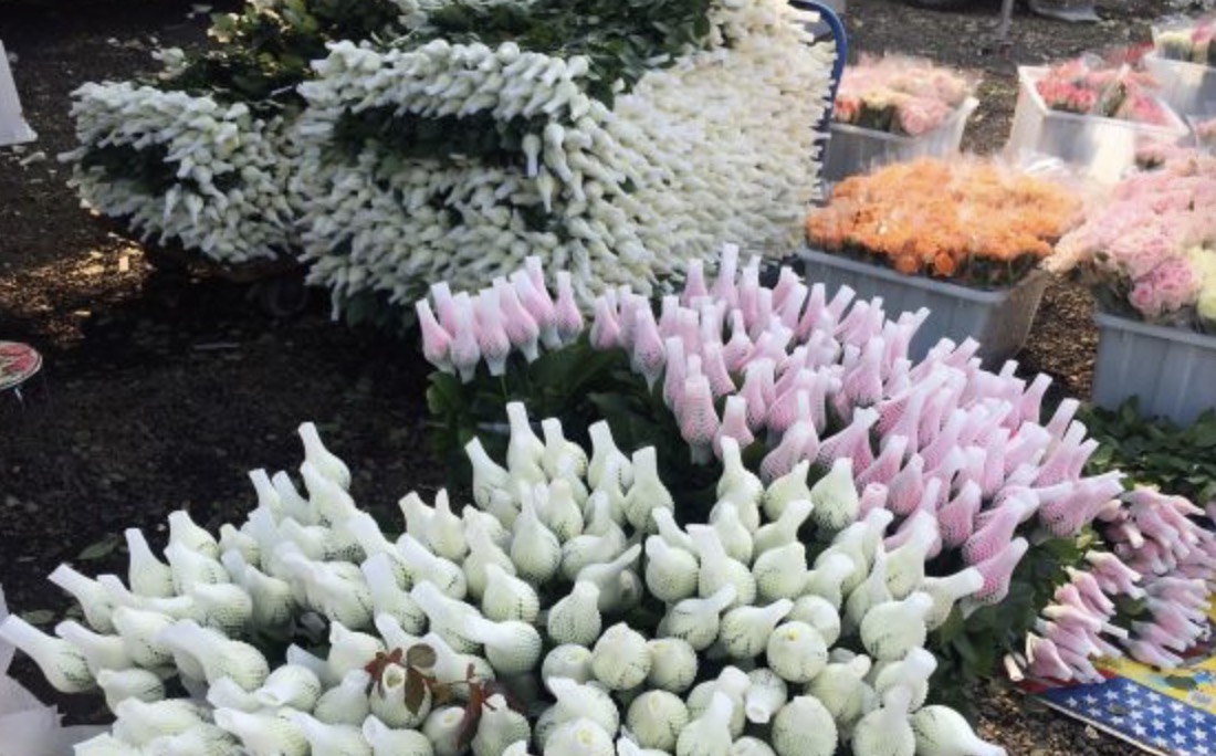 北京的花市,北京的鲜花价格