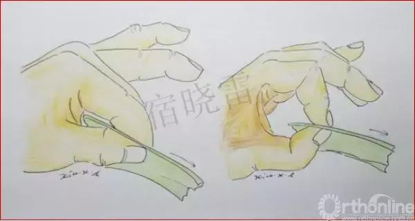 手绘科普视频,手绘类科普