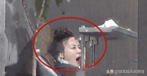 李嫣王菲头发照片,王菲李嫣近照大红色少女