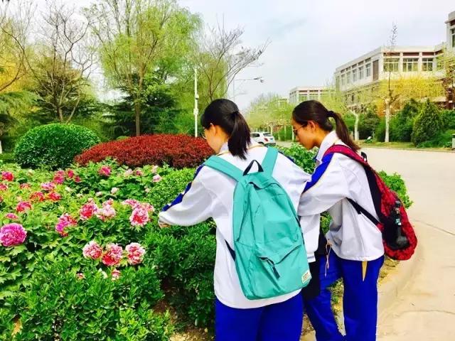 灞卞笀闄勪腑鍒嗘牎,鑿忔辰灞卞笀闄勪腑