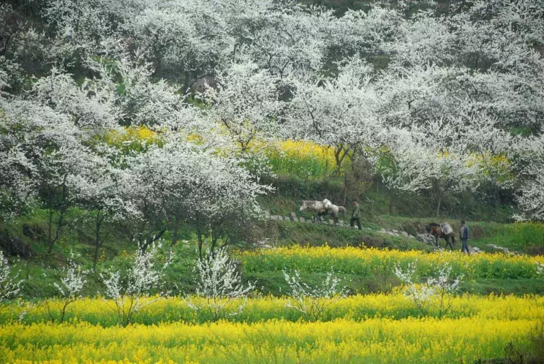 全国最宝藏的省,中国宝藏最多的省份