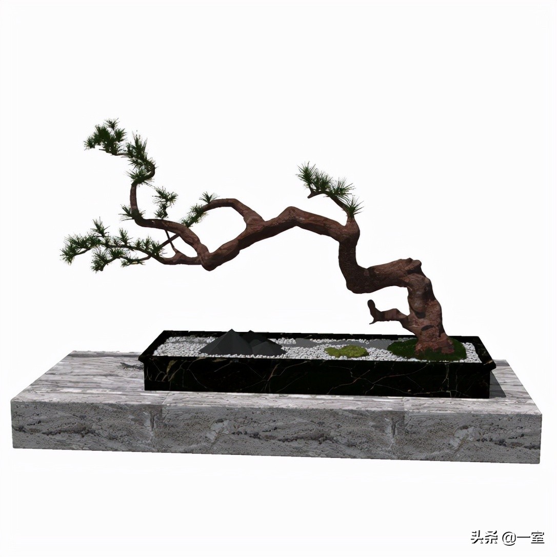 网红庭院植物搭配,网红绿植搭配技巧