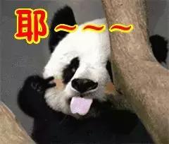 全民k歌全球top10厉害吗,全民k歌单曲第一名