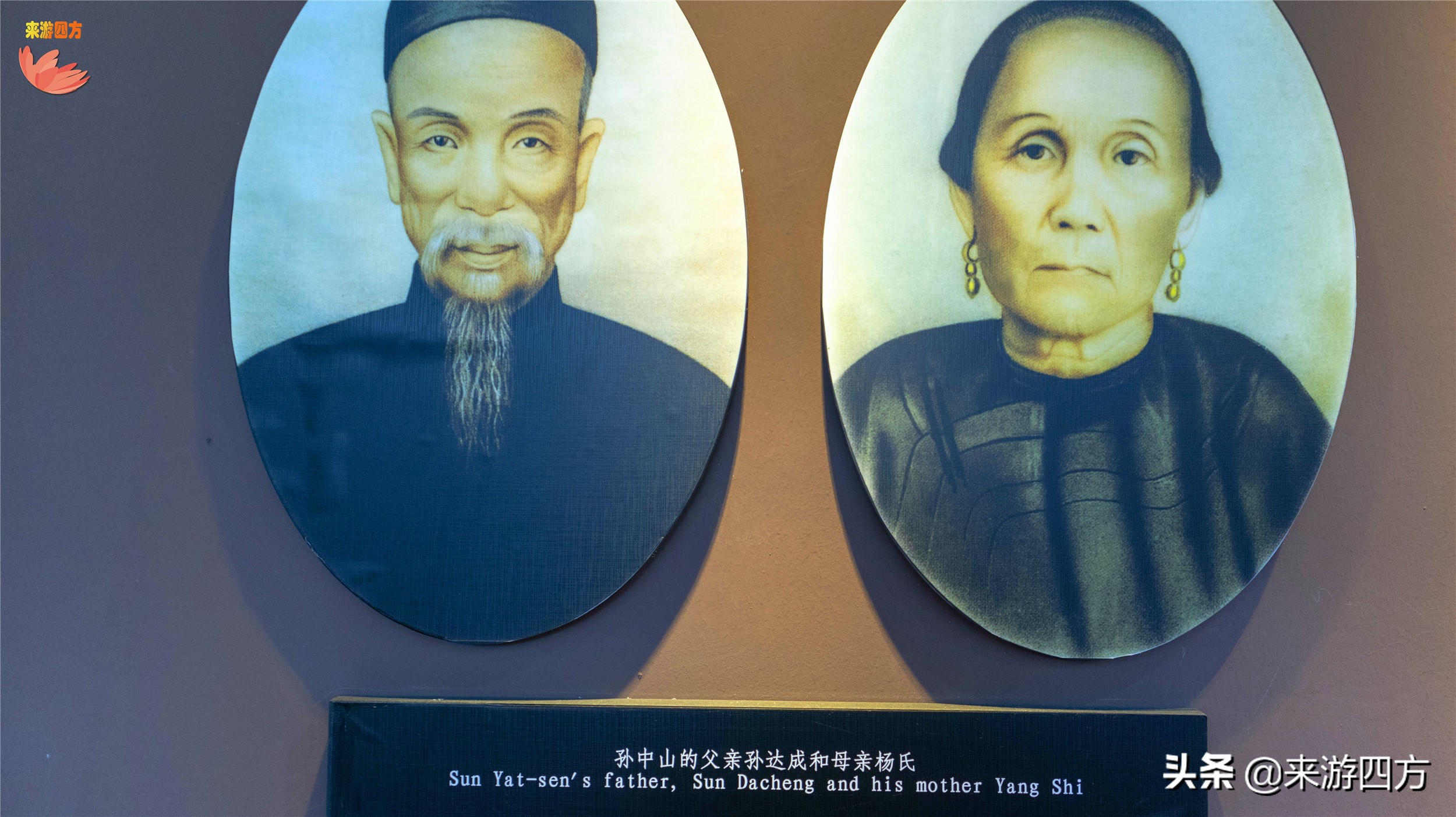 济南中山公园赏花,济南公园赏秋叶