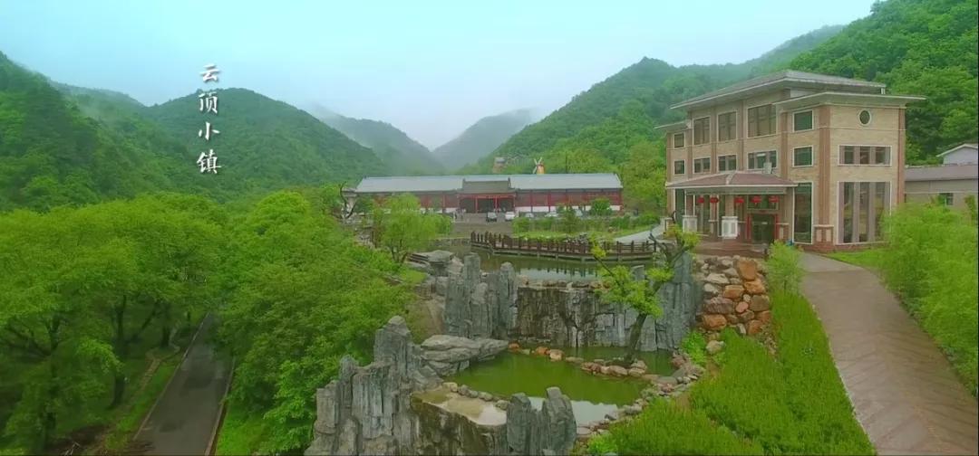 古县千年牡丹,古县牡丹的视频